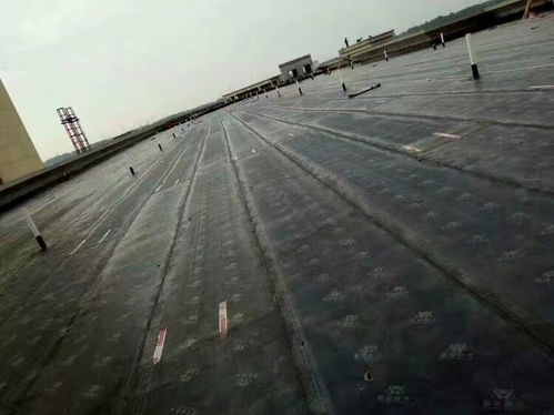 惠州市阳台防水补漏 窗台防水